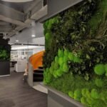 Biophilic Breakthroughs: Nature Integration for Mental Wellness